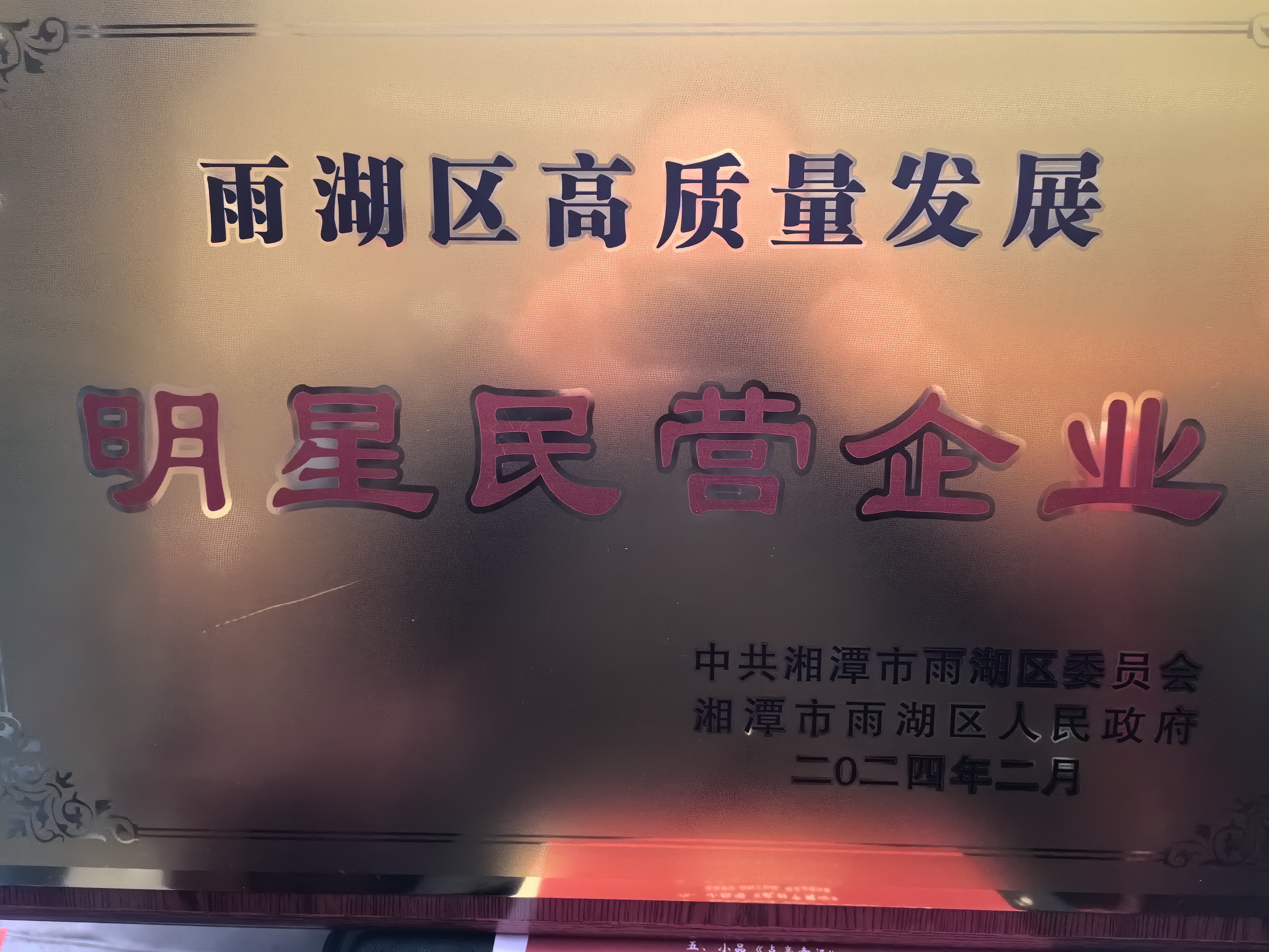 乐动在线登录-乐动（中国）-乐动荣获“雨湖区高质量发展明星民营企业”称号